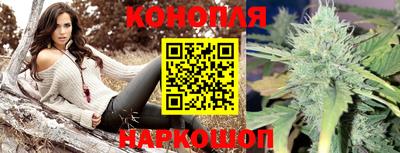 mdpv Краснознаменск