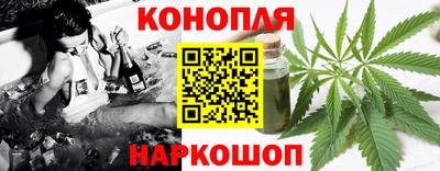 mdpv Краснознаменск