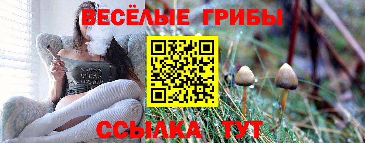 Галлюциногенные грибы прущие грибы Кирово-Чепецк