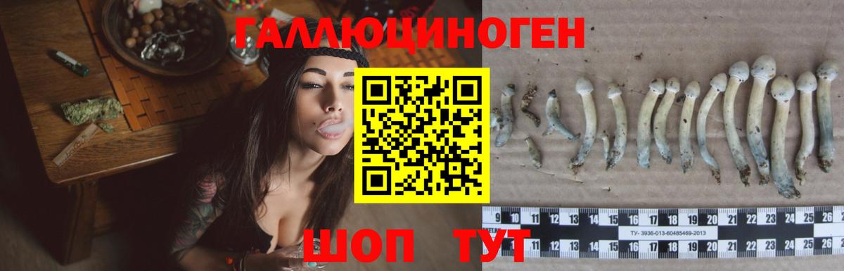 Кирово-Чепецк  Псилоцибиновые грибы MAGIC MUSHROOMS  Псилоцибиновые грибы MAGIC MUSHROOMS  Вход с VPN 